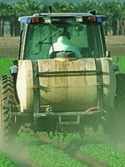 Tractor in field sprays pesticide on leaf lettuce 