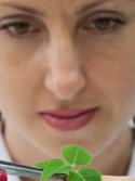 woman scientist examines green plant in lab