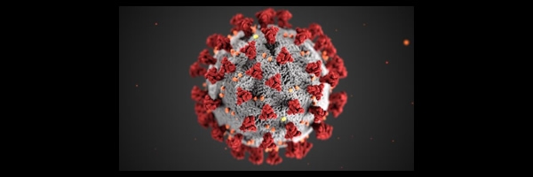 Illustration of a coronavirus with spikes around outer surface of round ball