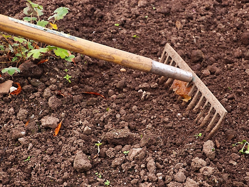 garden soil and rake