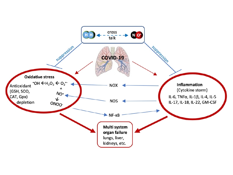 illustration showing H2 and NO working together