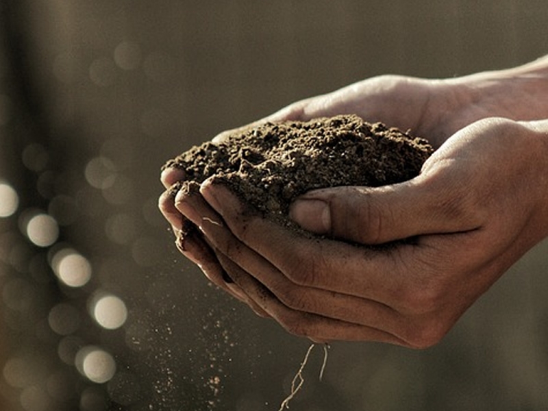 hands holding soil