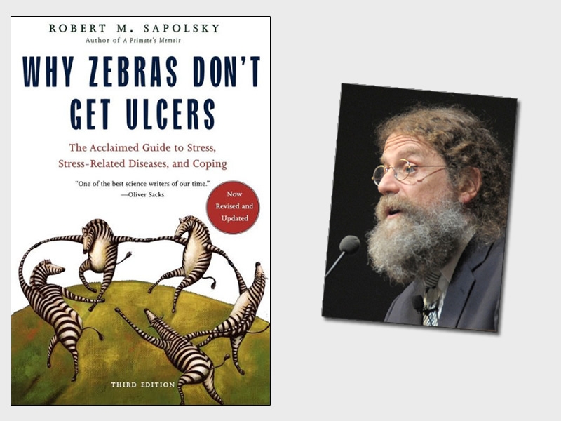 book cover of "Why Zebras Don't Get Ulcers" with illustration of four zebras dancing in a circle on their hind legs