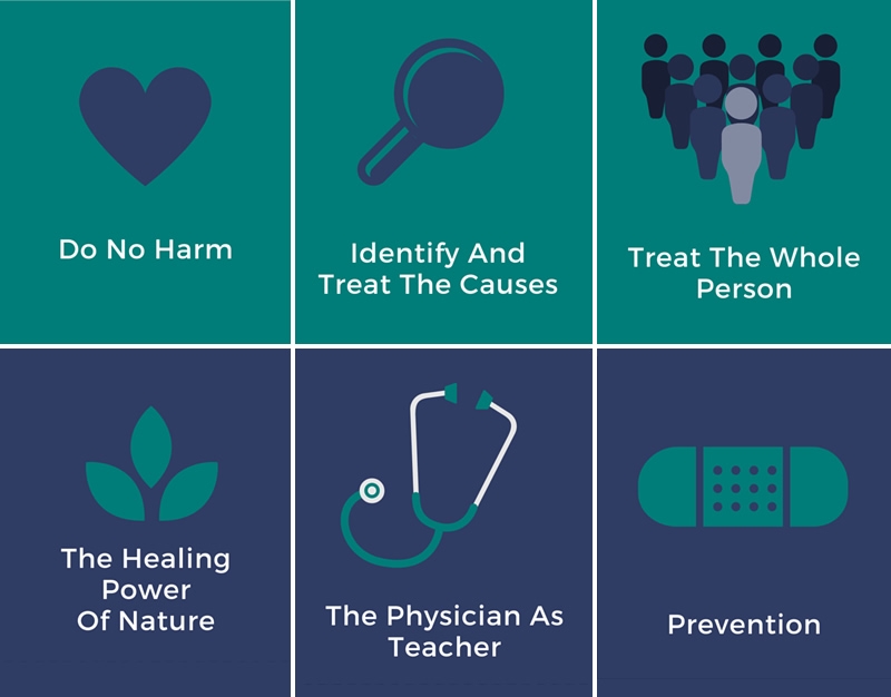 The Six Principles of Naturopathic Medicine