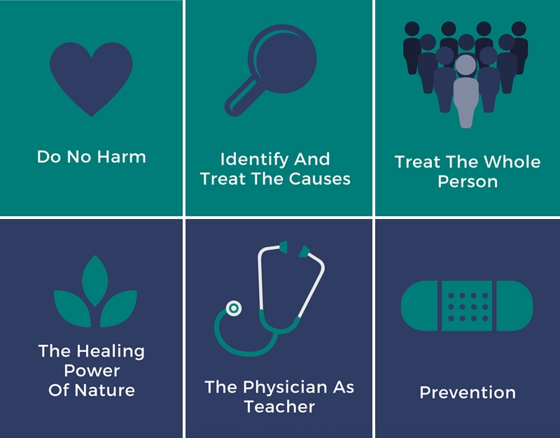 The Six Principles of Naturopathic Medicine The Six Principles of Naturopathic Medicine