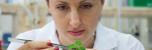 woman scientist examines green plant in lab