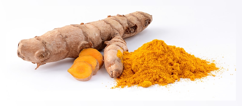 Curcuma longa roots and turmeric powder