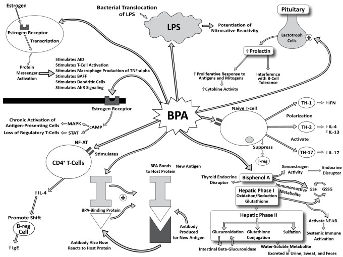 BPA diagram