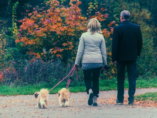 Man and woman walking with two dogs along path lined with fall foliage.