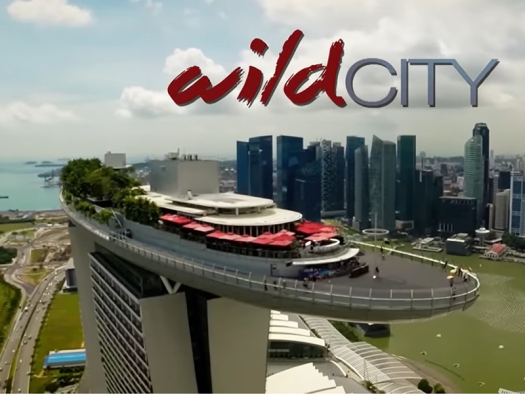 boat-shaped structure containing cafe seating and trees on top of a tall building in a city with skyscrapers in the background and a highway and river below