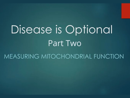 White text on green background says: Disease is optional - Part Two: Measuring Mitochondrial Function
