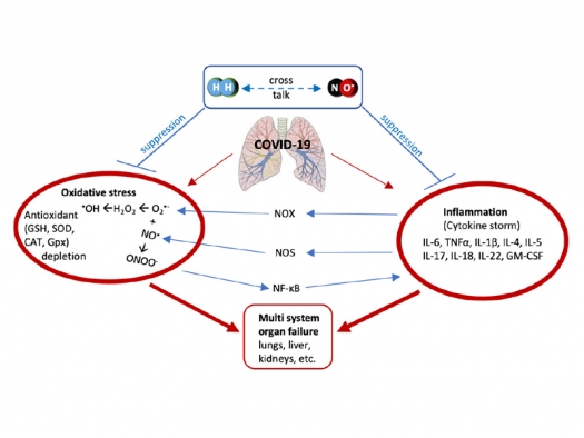 illustration showing H2 and NO working together