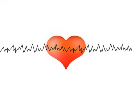 illustration of a red heart shape overlaid with EKG-type line showing ups and downs of a heartbeat