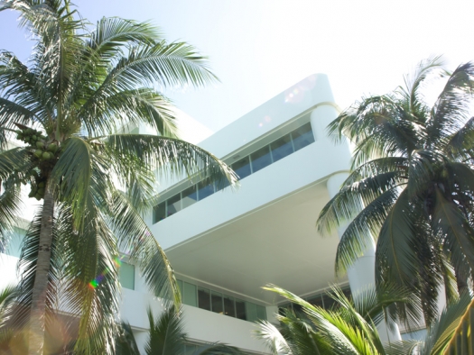 white building with big windows and palm trees on both sides