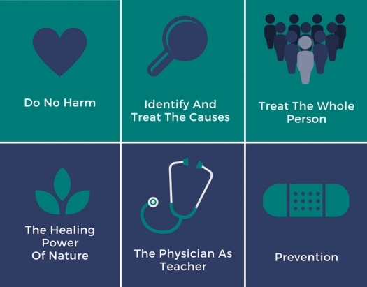 The Six Principles of Naturopathic Medicine The Six Principles of Naturopathic Medicine