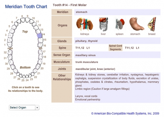 Holistic Dentistry Tooth Chart