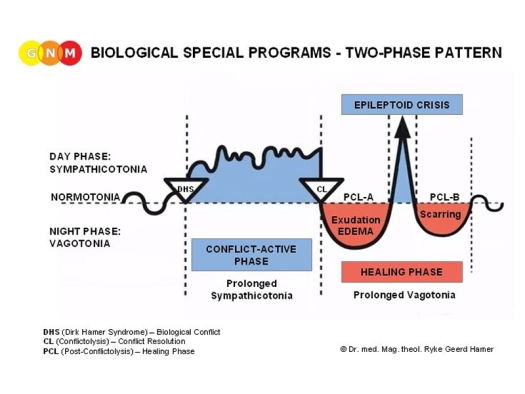 Dr. Hamer's chart illustrating the Two Phase Pattern