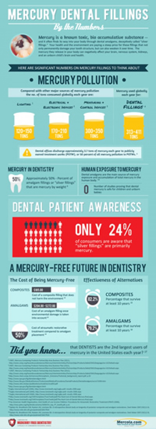 Mercury Dental Fillings Infographic