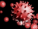 illustration of coronavirus, red round ball with spikes