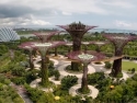 steel tree-shaped structures in an urban park near a body of water
