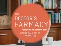 screenshot from video showing title slide that says: The Doctor's Farmacy: Parasites