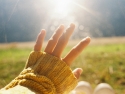 Person's hand reaching up toward morning sun.
