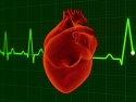 human heart with heart pulse graphic background
