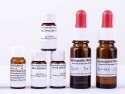 six small brown bottles with white labels containing homeopathic remedies
