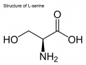 chemical structure of L-Serine