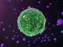 Mast cell: round green cell with uneven edge on field of dark purple