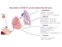 illustration showing passage of SARS-CoV-2 virus into heart