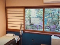 Room in clinic with exam table on left, computer on right, and large window in center with trees and flowers blooming