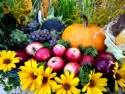 Basket with a pumpkin, apples, grapes corn, greens, and sunflowers.