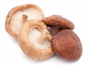 Shiitake Mushrooms