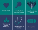 The Six Principles of Naturopathic Medicine