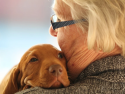 woman holding dog with dog's head on her shoulder